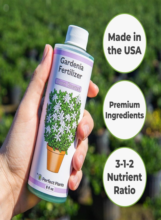 PERFECT PLANTS سماد سائل مثالي للغاردينيا من بيرفكت بلانتس | 8 أونصات. غذاء نباتي مُصمم خصيصًا لتعزيز الإزهار | رائع للنباتات المزهرة الداخلية والخارجية - Image 4